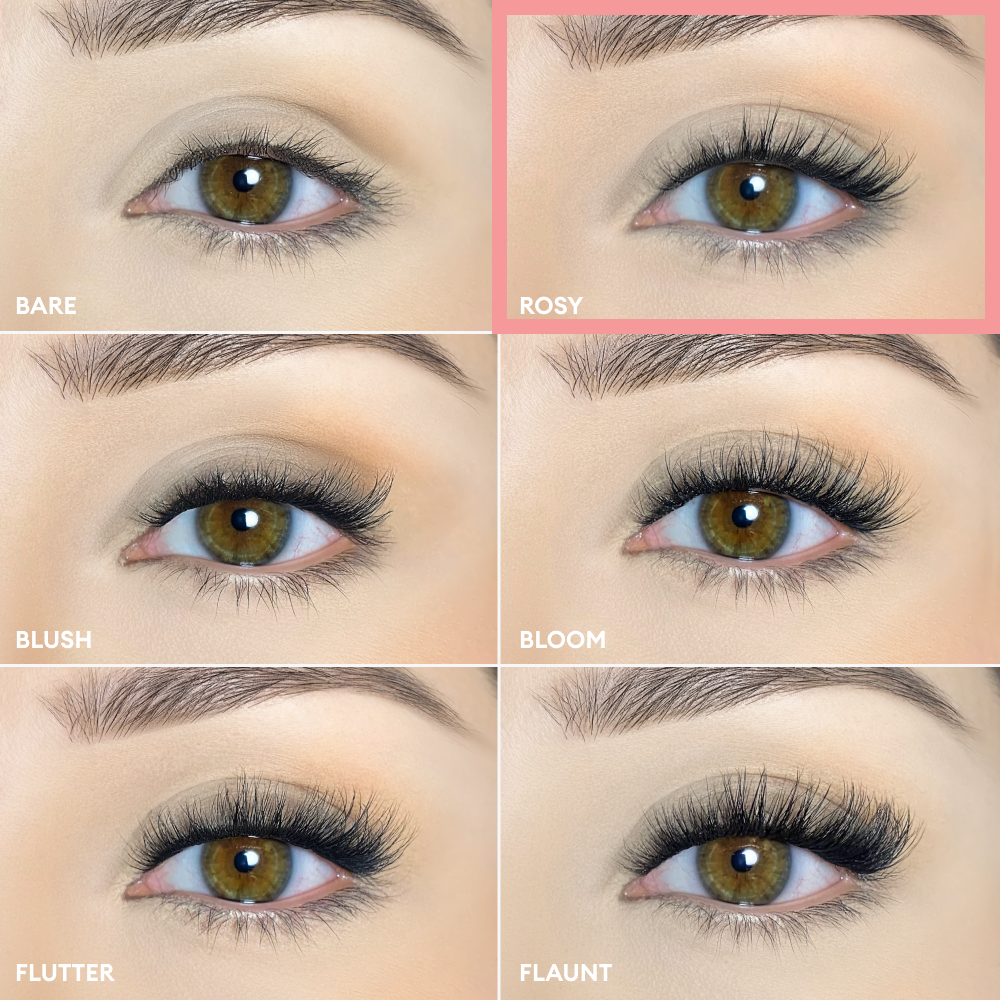 Pop-On Lashes - Rosy Black