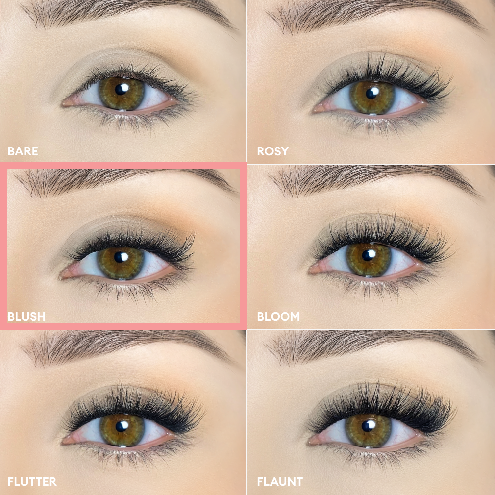 Pop-On Lashes - Blush Black