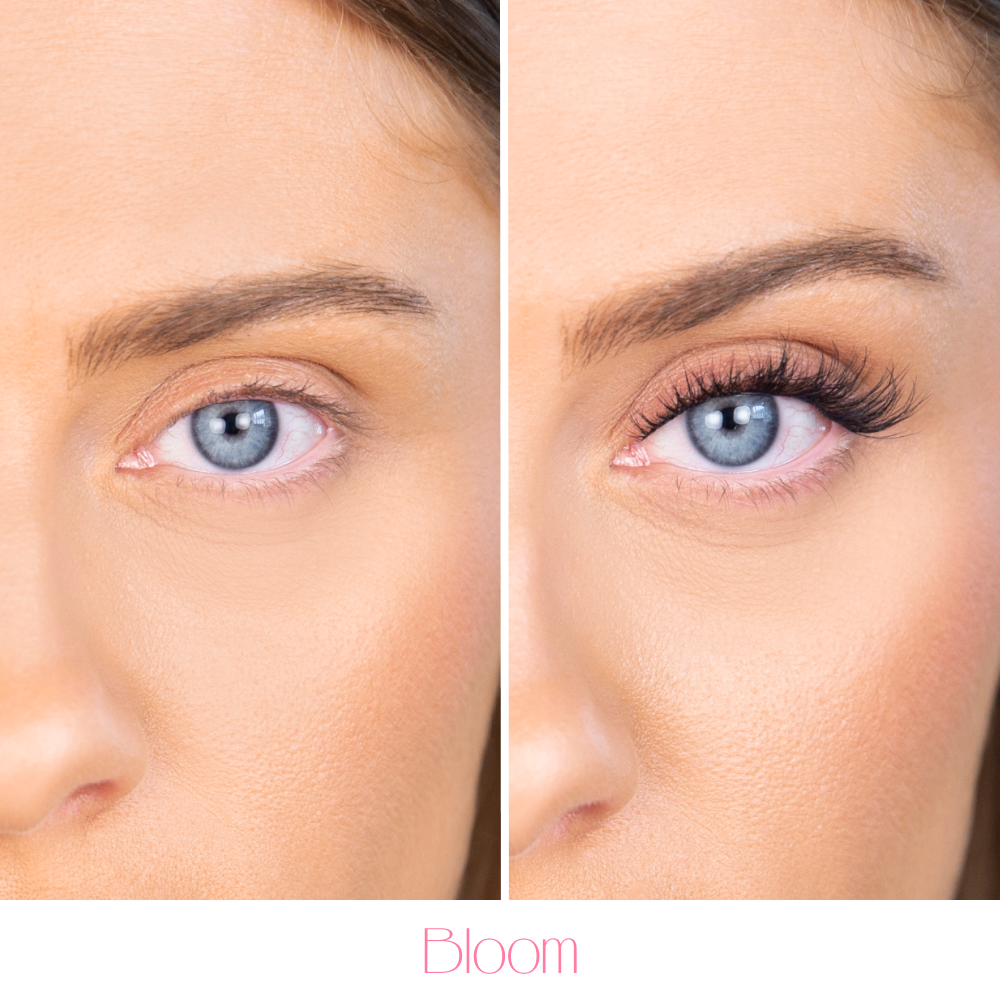 Pop-On Lashes - Bloom Black